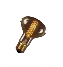  Foco Vinatge Antique Bulb 2