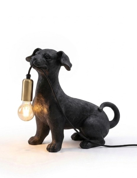 Lampara Dogligth