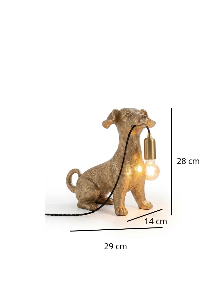 Lampara Dogligth / 